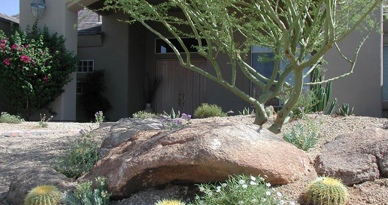 Transforming your Florence, Arizona backyard into a stunning, water-wise oasis is easier than you think with xeriscaping. This sustainable landscaping approach, perfect for the desert climate of Pinal County, minimizes water use while maximizing beauty and functionality. With Florence’s hot summers and limited rainfall, xeriscape design using drought-tolerant plants, native Arizona species, and smart hardscaping is ideal for eco-conscious homeowners. Whether you’re aiming to lower water bills, reduce maintenance, or boost curb appeal, this step-by-step guide will help you create a xeriscape backyard tailored to Florence, AZ. Let’s dive into crafting a low-maintenance, drought-resistant yard that thrives in the desert with expert Florence landscaping services from Franciscan Landscape.