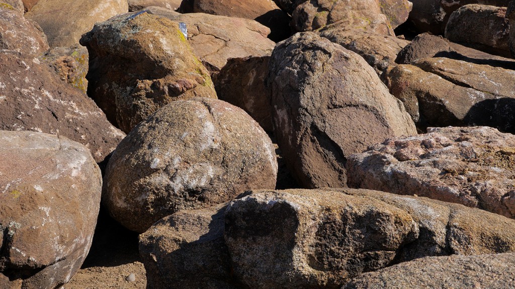 Boulder and native plants in San Tan Valley desert design.