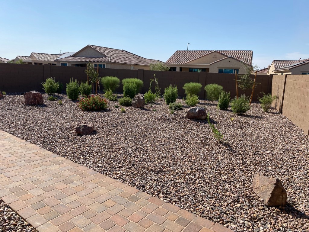 Top 10 Drought-Tolerant Landscape Design Ideas for San Tan Valley Homes