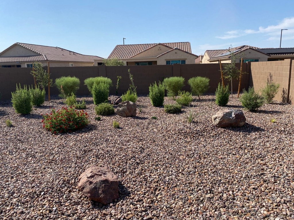 Best landscape maintenance, lawn care, yard care, shrub trimming, and seasonal landscape cleanups in San Tan Valley and Florence, Arizona.